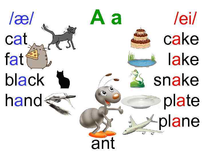 /æ/ cat fat black hand Aa ant /ei/ cake lake snake plate plane 