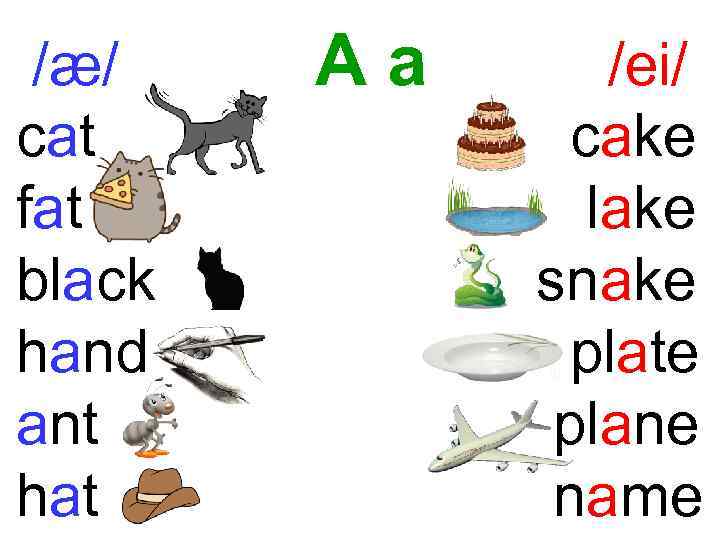 /æ/ cat fat black hand ant hat Aa /ei/ cake lake snake plate plane