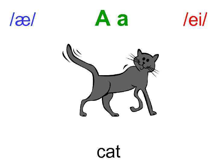 /æ/ Aa cat /ei/ 