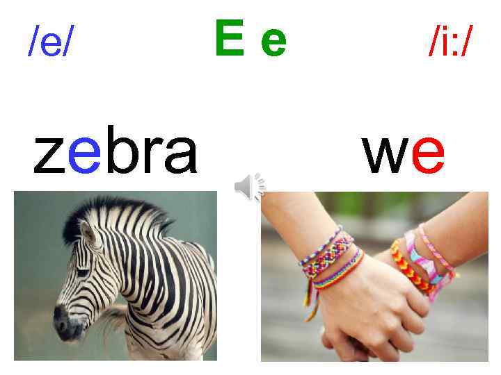 /e/ zebra Ee /i: / we 