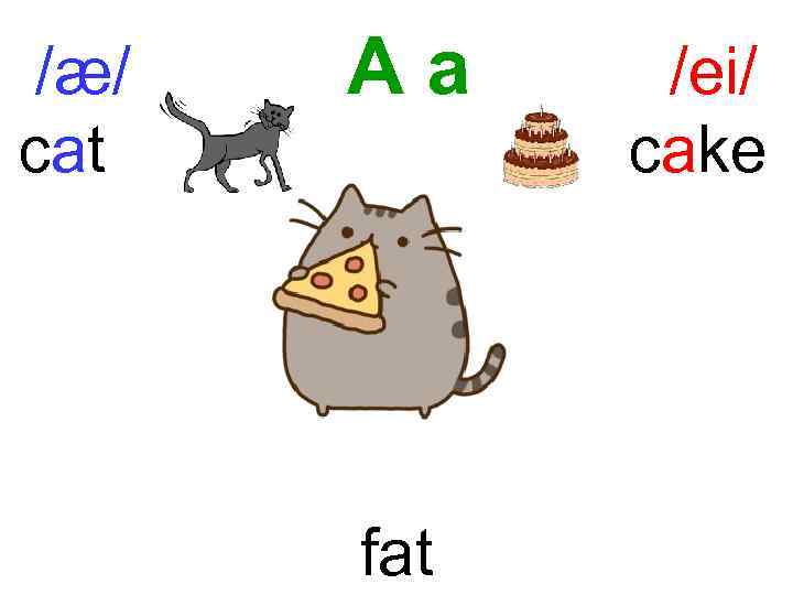 /æ/ cat Aa fat /ei/ cake 