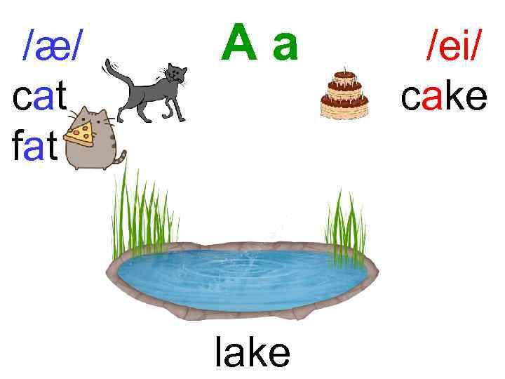 /æ/ cat fat Aa lake /ei/ cake 