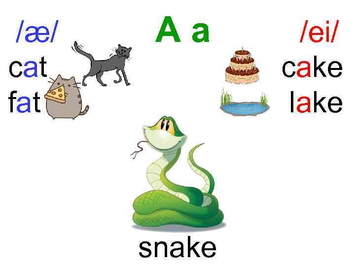 /æ/ cat fat Aa snake /ei/ cake lake 