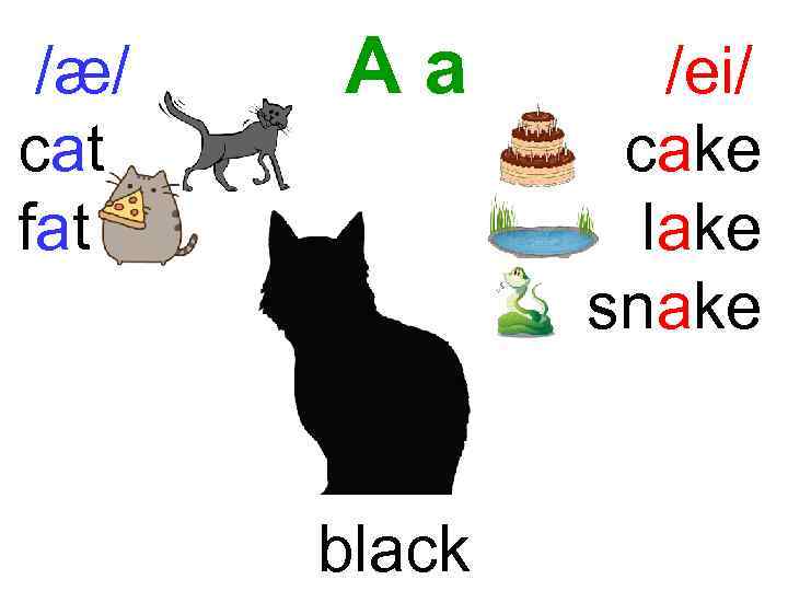 /æ/ cat fat Aa black /ei/ cake lake snake 