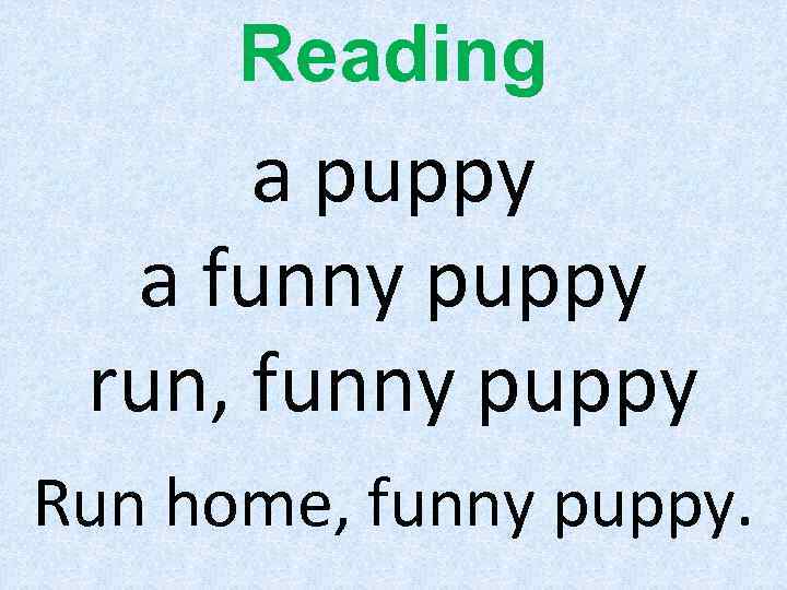 Reading a puppy a funny puppy run, funny puppy Run home, funny puppy. 