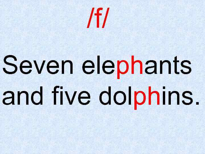 /f/ Seven elephants and five dolphins. 