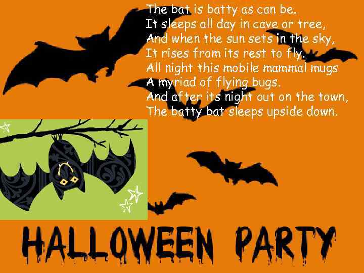 The bat is batty as can be. It sleeps all day in cave or