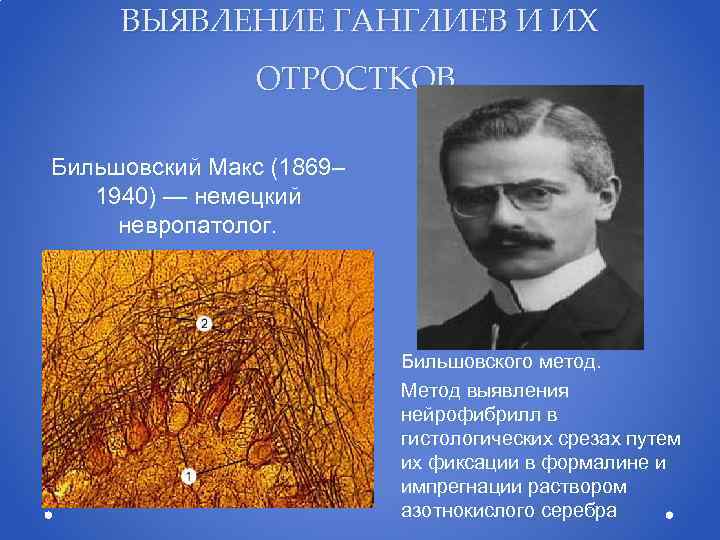 ВЫЯВЛЕНИЕ ГАНГЛИЕВ И ИХ ОТРОСТКОВ. Бильшовский Макс (1869– 1940) — немецкий невропатолог. Бильшовского метод.