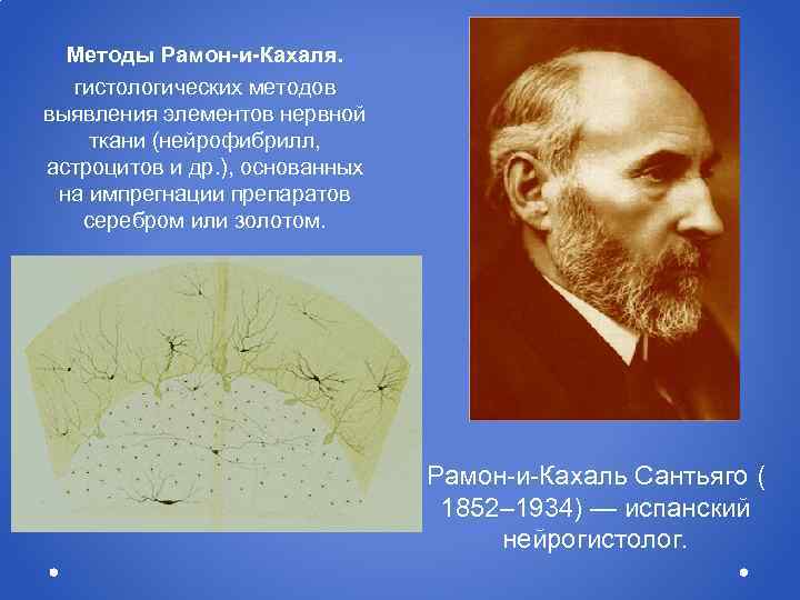 Методы Рамон-и-Кахаля. гистологических методов выявления элементов нервной ткани (нейрофибрилл, астроцитов и др. ), основанных