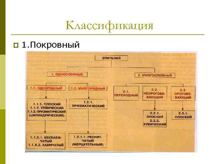 Классификация п