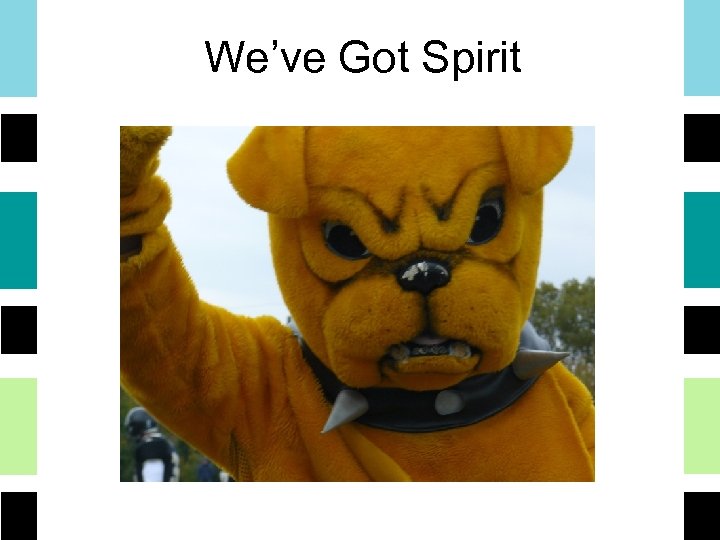 We’ve Got Spirit 