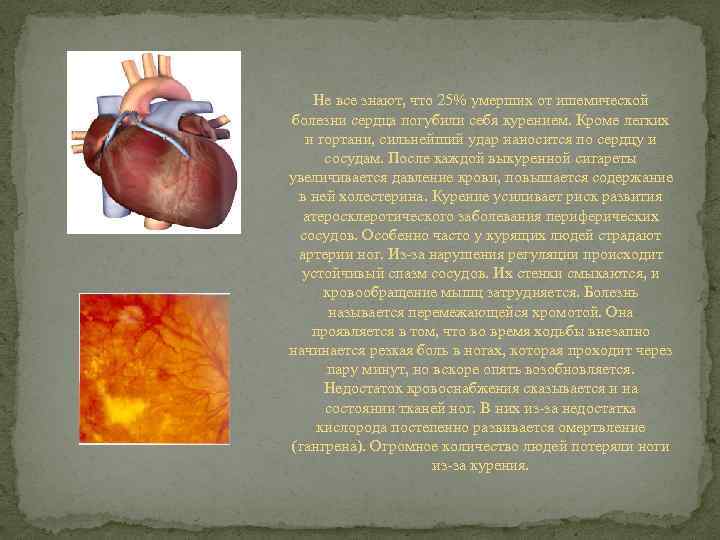 Не все знают, что 25% умерших от ишемической болезни сердца погубили себя курением. Кроме