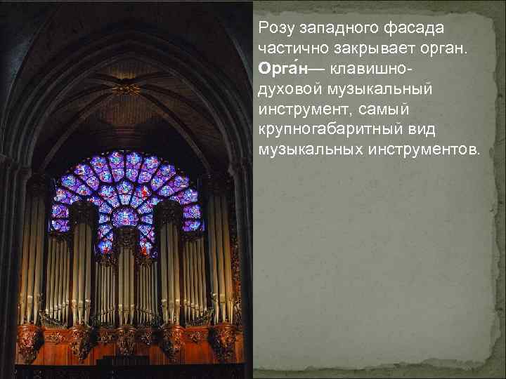 Розу западного фасада частично закрывает орган. Орга н— клавишнодуховой музыкальный инструмент, самый крупногабаритный вид