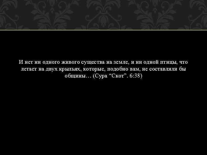 И нет ни одного живого существа на земле, и ни одной птицы, что летает