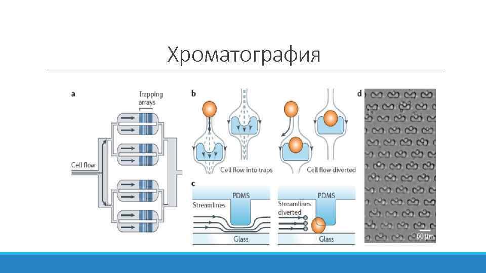 Хроматография 