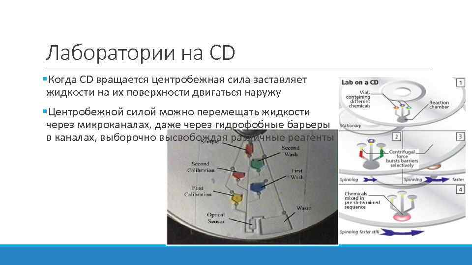 Лаборатории на CD §Когда CD вращается центробежная сила заставляет жидкости на их поверхности двигаться