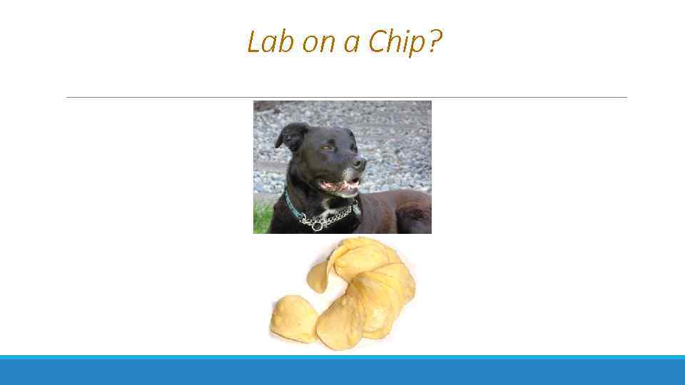 Lab on a Chip? 