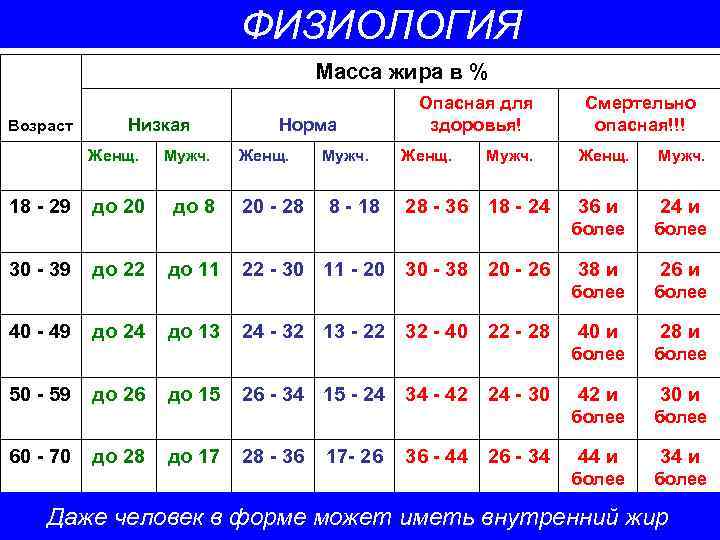 Расчет массы жира