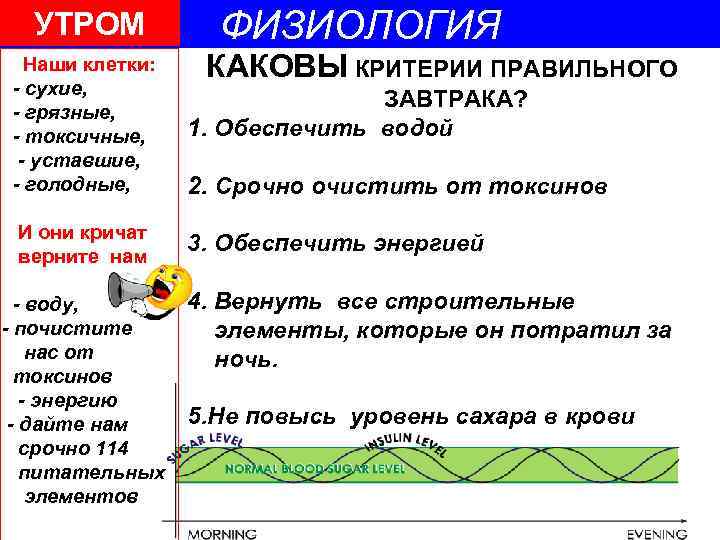 УТРОМ Наши клетки: - сухие, - грязные, - токсичные, - уставшие, - голодные, И