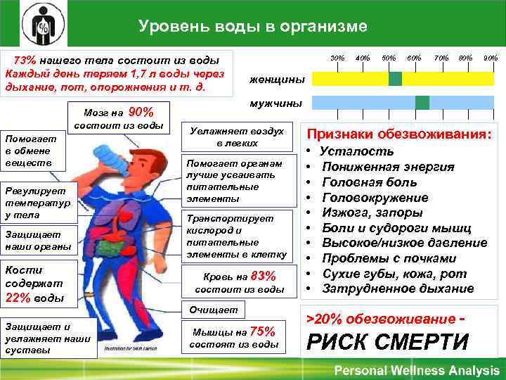 Уровень воды в организме 73% нашего тела состоит из воды Каждый день теряем 1,