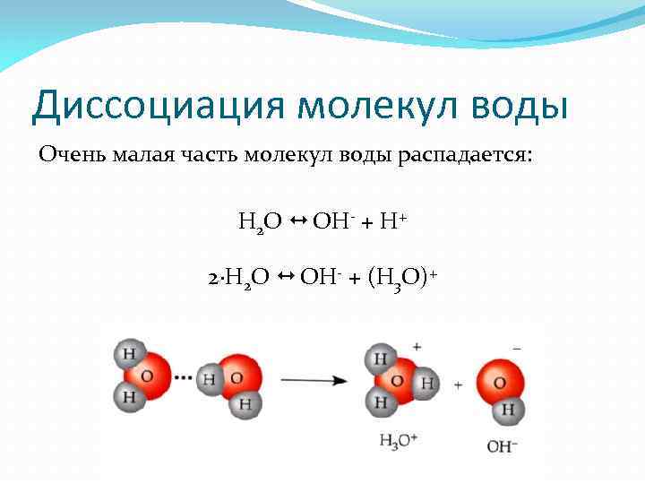 Диссоциация молекул воды Очень малая часть молекул воды распадается: H 2 O OH- +