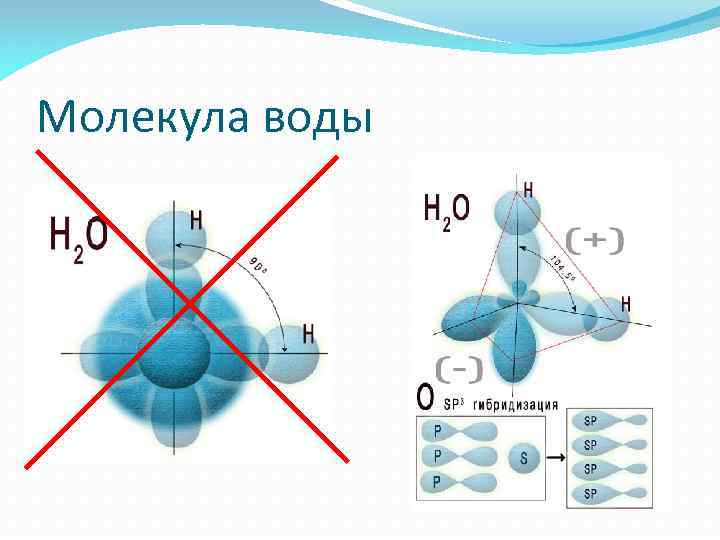 Молекула воды 