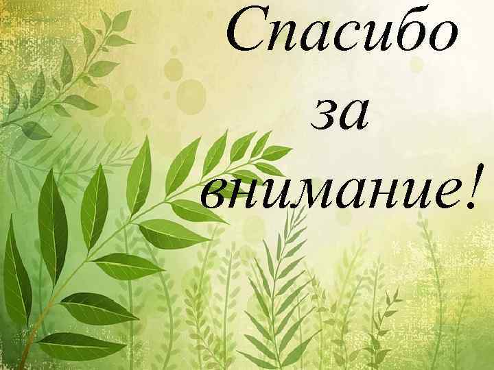 Спасибо за внимание! 