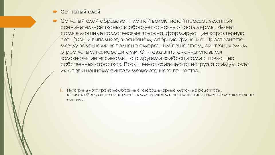  Сетчатый слой образован плотной волокнистой неоформленной соединительной тканью и образует основную часть дермы.