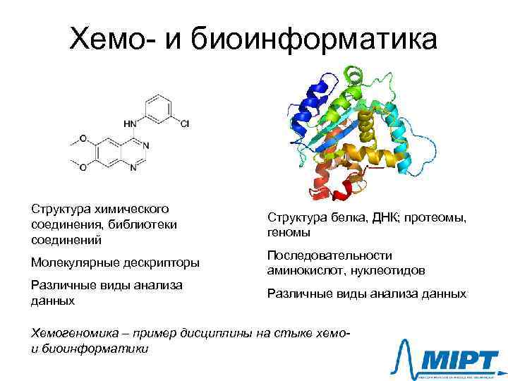 Хемо- и биоинформатика Структура химического соединения, библиотеки соединений Структура белка, ДНК; протеомы, геномы Молекулярные