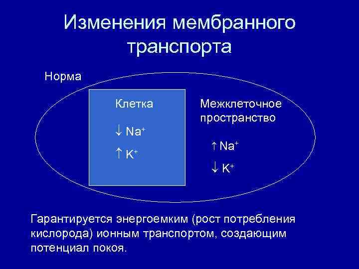 Изменения мембранного транспорта Норма Клетка Na+ K+ Межклеточное пространство Na+ K+ Гарантируется энергоемким (рост