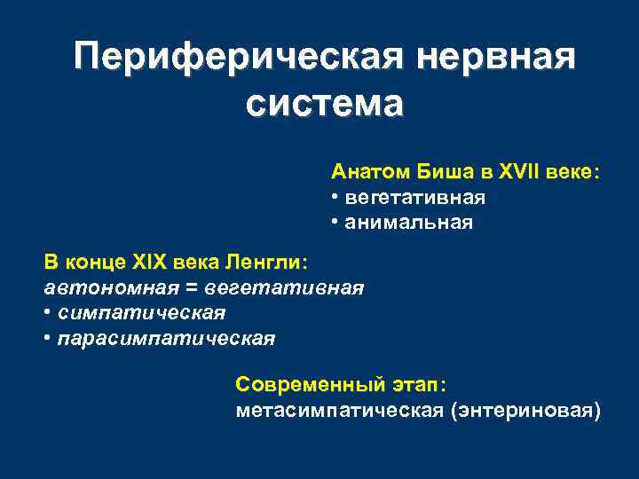 Периферическая нервная система Анатом Биша в XVII веке: • вегетативная • анимальная В конце