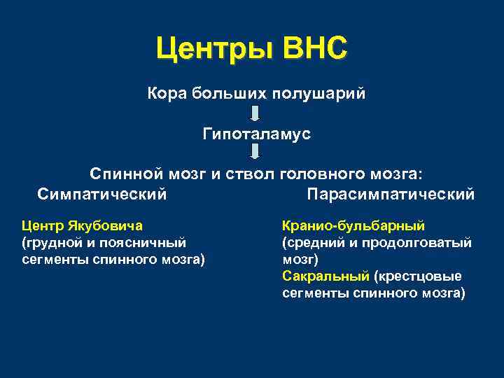 Центры ВНС Кора больших полушарий Гипоталамус Спинной мозг и ствол головного мозга: Симпатический Парасимпатический