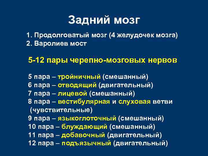 Задний мозг 1. Продолговатый мозг (4 желудочек мозга) 2. Варолиев мост 5 -12 пары