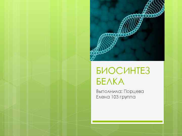 БИОСИНТЕЗ БЕЛКА Выполнила: Порцева Елена 103 группа 