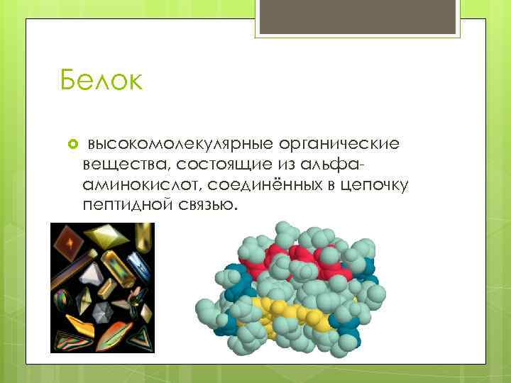 Белок высокомолекулярные органические вещества, состоящие из альфааминокислот, соединённых в цепочку пептидной связью. 
