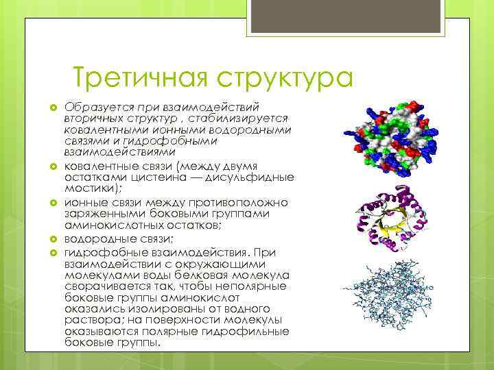 Третичная структура Образуется при взаимодействий вторичных структур , стабилизируется ковалентными ионными водородными связями и