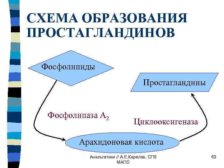 СХЕМА ОБРАЗОВАНИЯ ПРОСТАГЛАНДИНОВ Фосфолипиды Простагландины Фосфолипаза А 2 Циклооксигеназа Арахидоновая кислота Анальгетики // А.