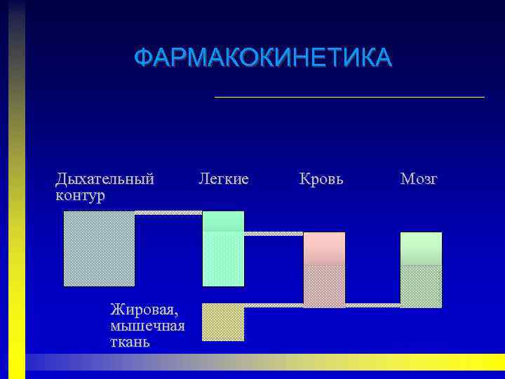 ФАРМАКОКИНЕТИКА Дыхательный контур Жировая, мышечная ткань Легкие Кровь Мозг 