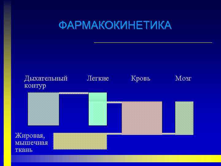 ФАРМАКОКИНЕТИКА Дыхательный контур Жировая, мышечная ткань Легкие Кровь Мозг 
