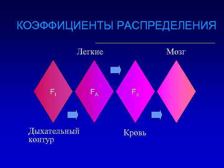 КОЭФФИЦИЕНТЫ РАСПРЕДЕЛЕНИЯ Легкие FI Дыхательный контур FA Мозг Fa Кровь 