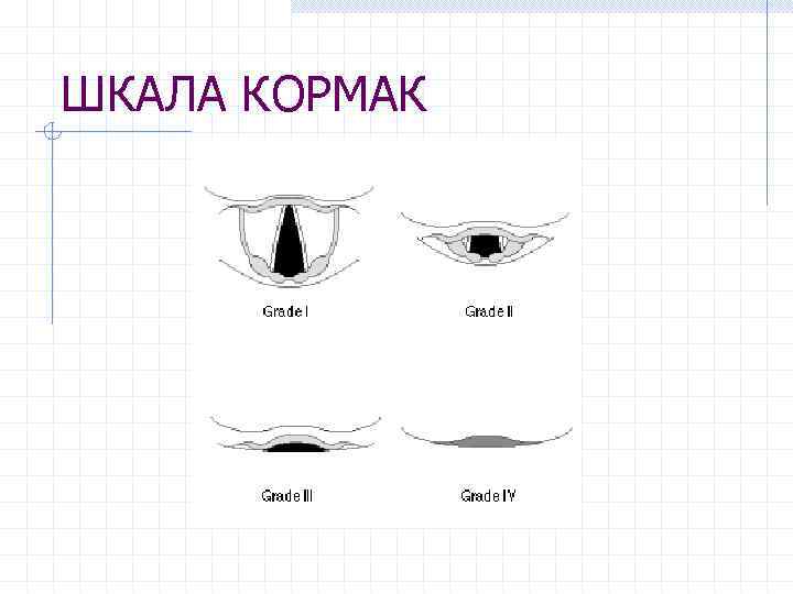 ШКАЛА КОРМАК 