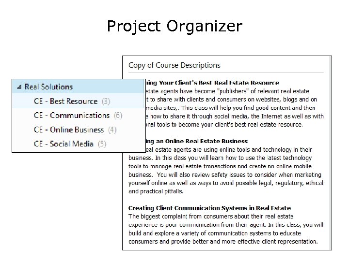 Project Organizer 