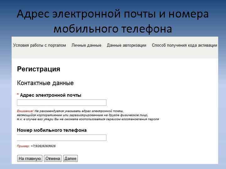 Адрес электронной почты и номера мобильного телефона 