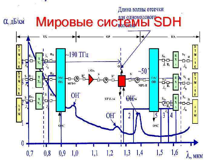 Мировые системы SDH 