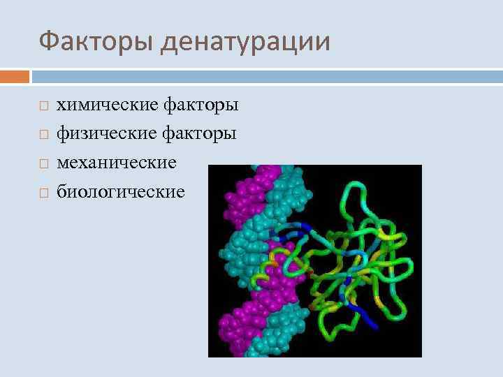 Факторы денатурации химические факторы физические факторы механические биологические 