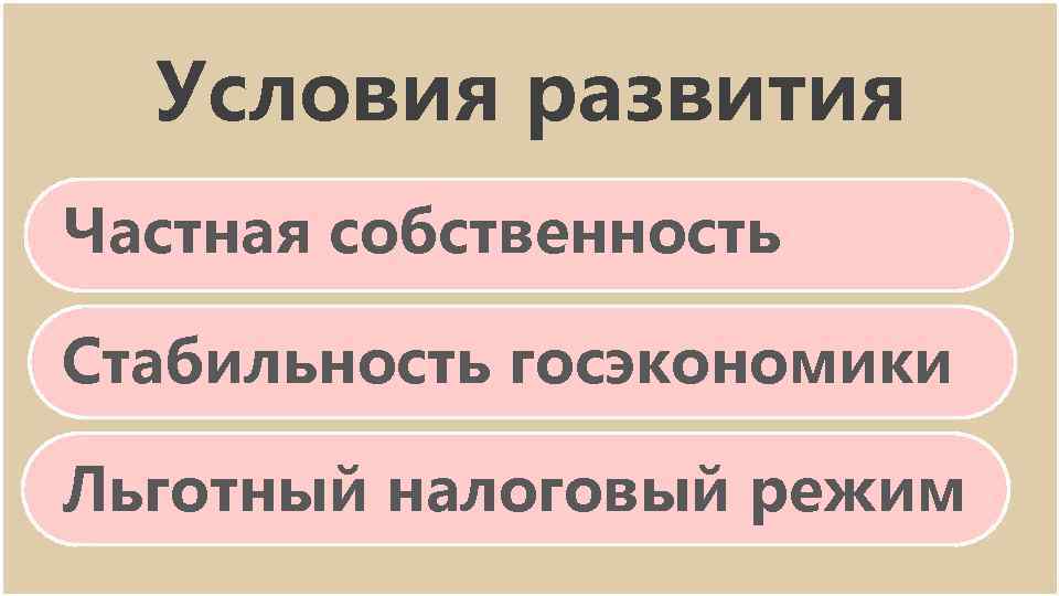 Условия развития Частная собственность Стабильность госэкономики Льготный налоговый режим 