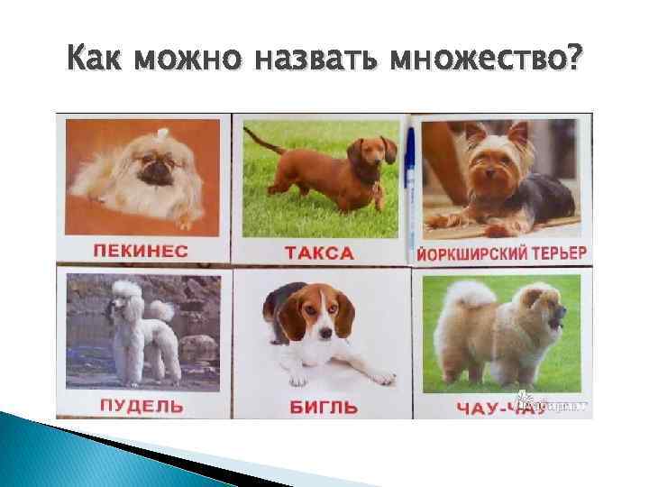 Как можно назвать множество? 