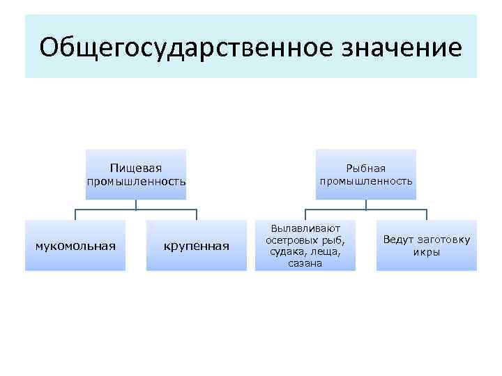 Общегосударственное значение Пищевая промышленность мукомольная крупенная Рыбная промышленность Вылавливают осетровых рыб, судака, леща, сазана