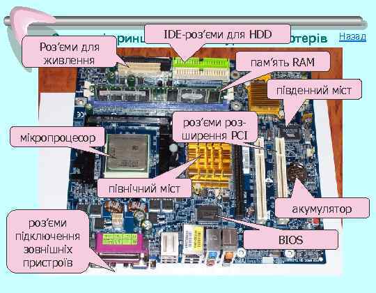 IDE-роз’єми для комп’ютерів Загальні принципи архітектури HDD Роз’єми для живлення Назад пам’ять RAM південний