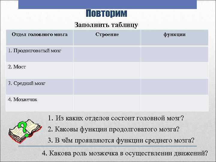 Повторим Заполнить таблицу Отдел головного мозга Строение функции 1. Продолговатый мозг 2. Мост 3.